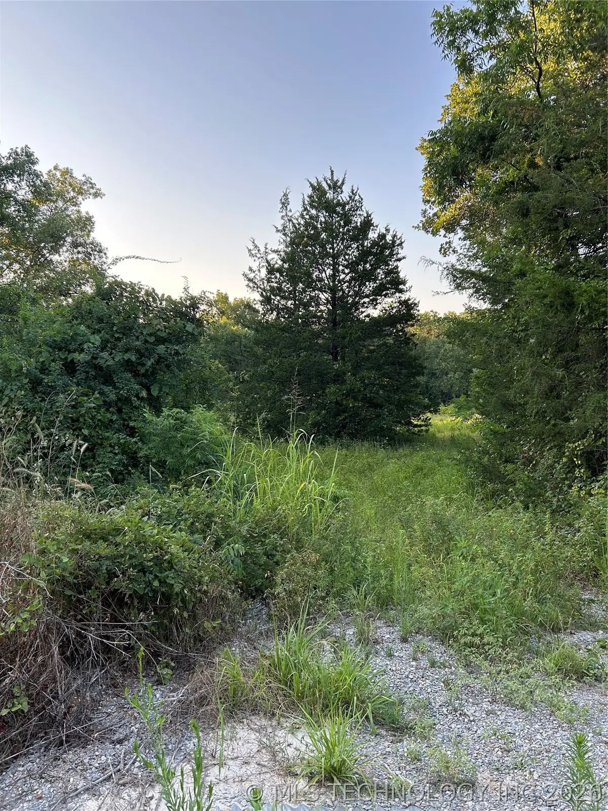 Cedar, Mead, OK 73449 - #1