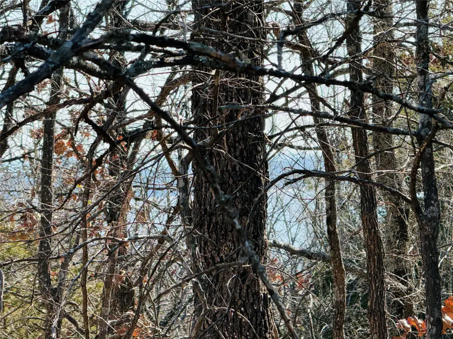 Mountain View Road, Eufaula, OK 74432 - #3