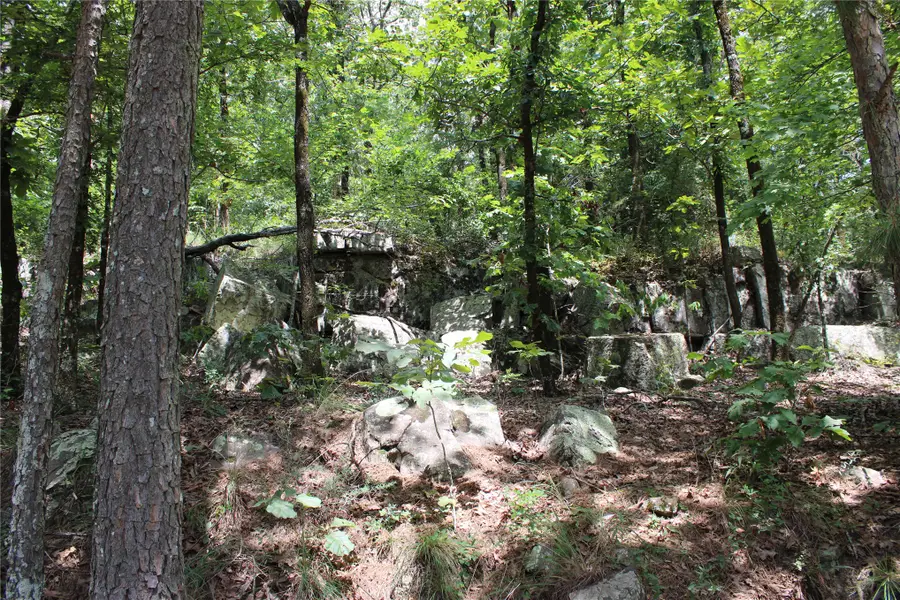 Buffalo Mountain Rd., Talihina, OK 74571 - #2