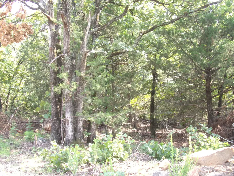 Bus Loop Road, Eufaula, OK 74432 - #2
