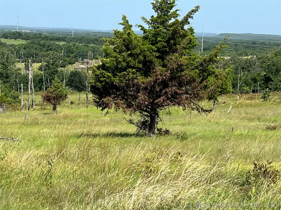 Bill Ward Road, East Coal, OK 74535 - #2