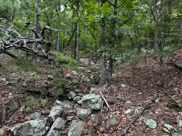 Boggy Mountain Road, Red Oak, OK 74563