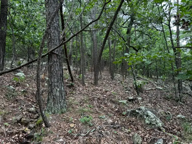 Boggy Mountain Road, Red Oak, OK 74563 - #2