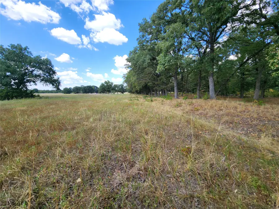 Arnett Road, Bokchito, OK 74726 - #3