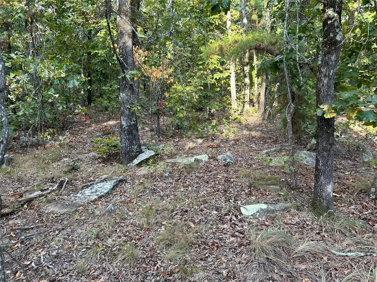 Hwy 2, Wilburton, OK 74578 - #1
