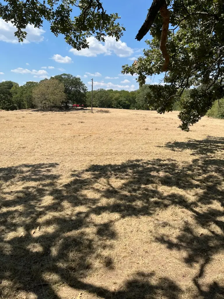Hwy 177, Dickson, OK 73401 - #2