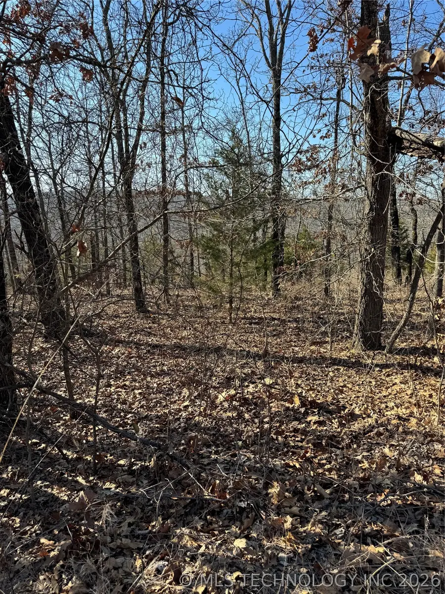 S 4556 Road, Vian, OK 74962 - #2