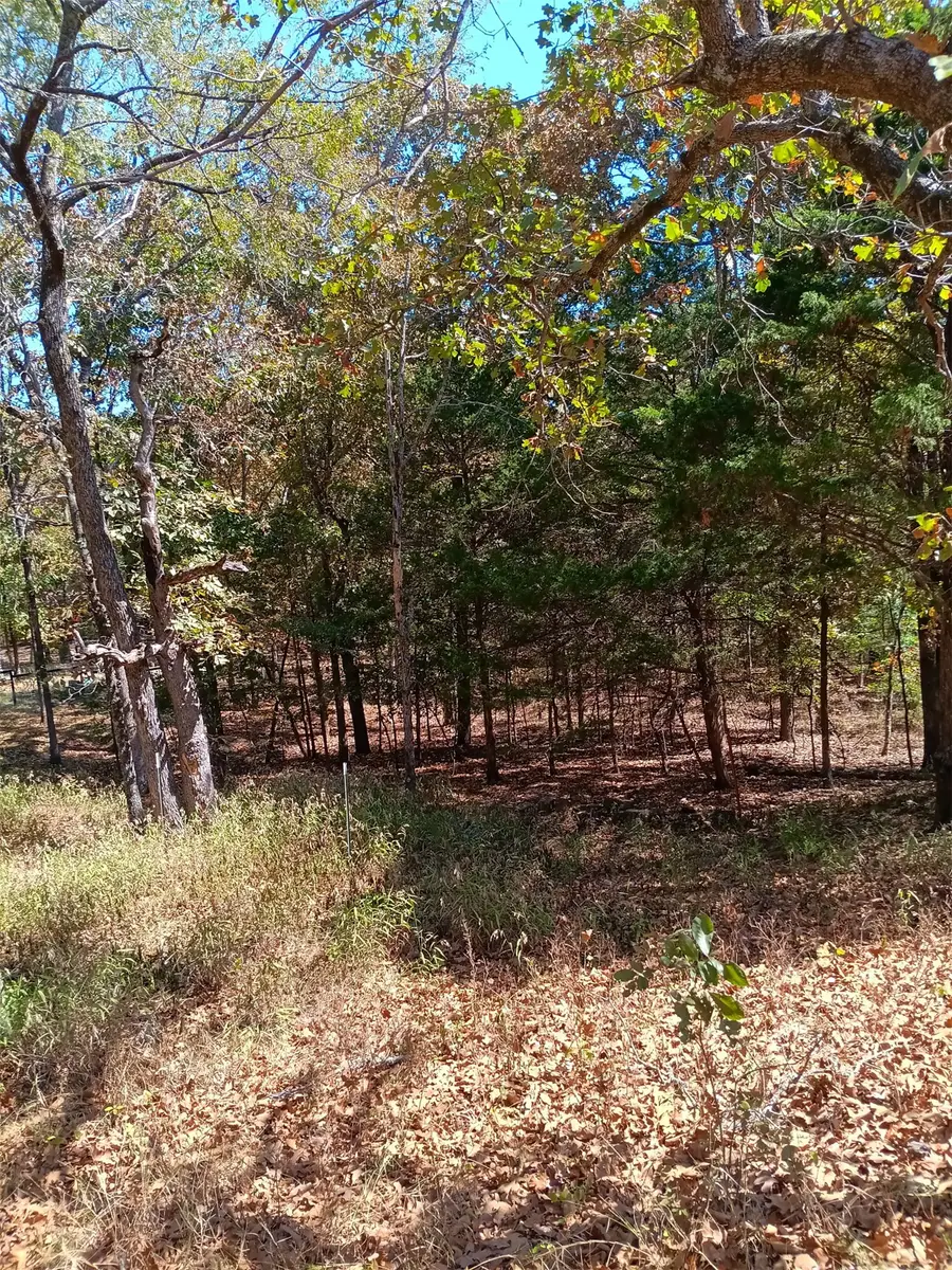 123 W Woodland Court, Park Hill, OK 74451 - #3
