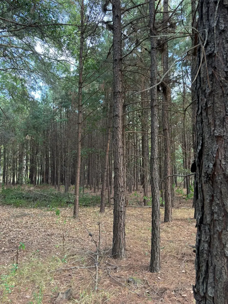 Hwy 3, Atoka, OK 74525 - #3
