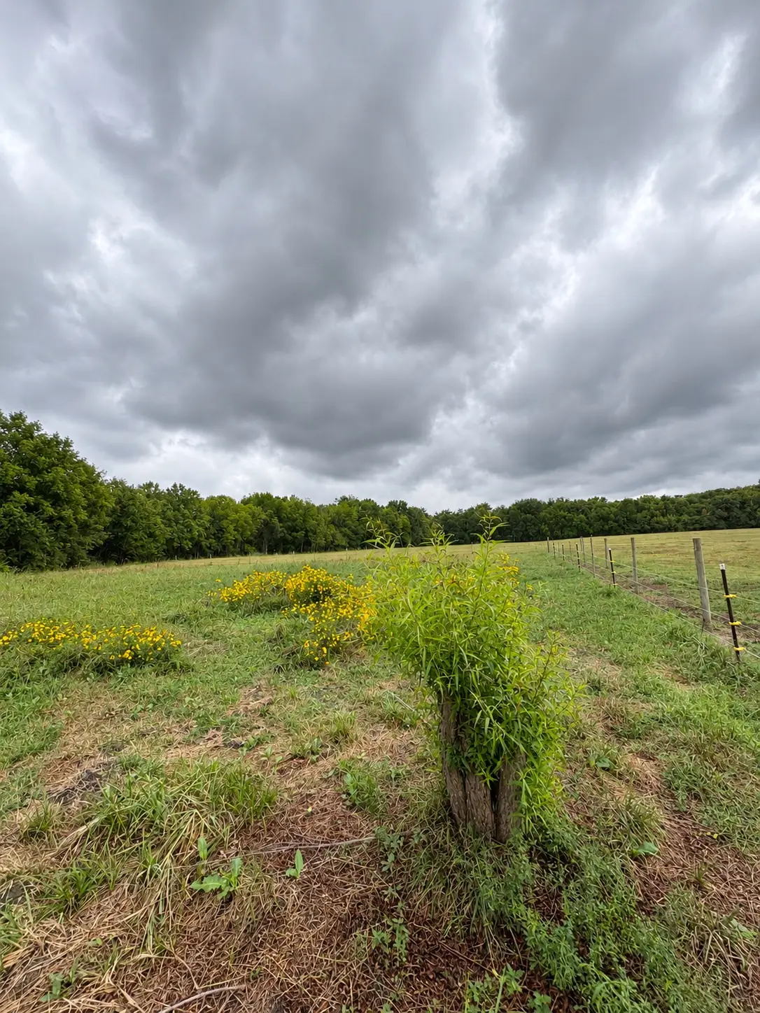9204 N Lewis Avenue, Sperry, OK 74073 - #1