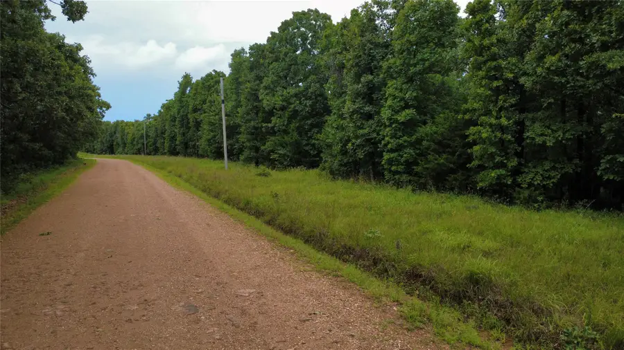 1 Cherokee Drive, Vian, OK 74962 - #3