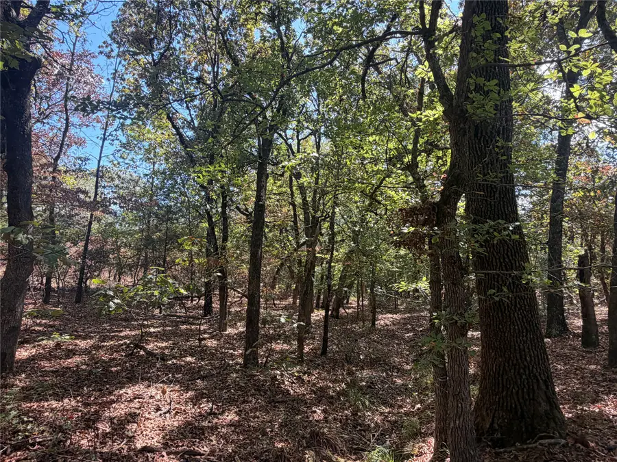 Davis Road, Lane, OK 74555 - #3