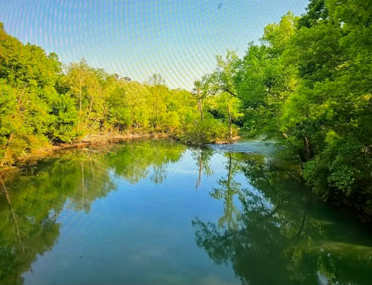 Eagle Road, Smithville, OK 74957 - #1