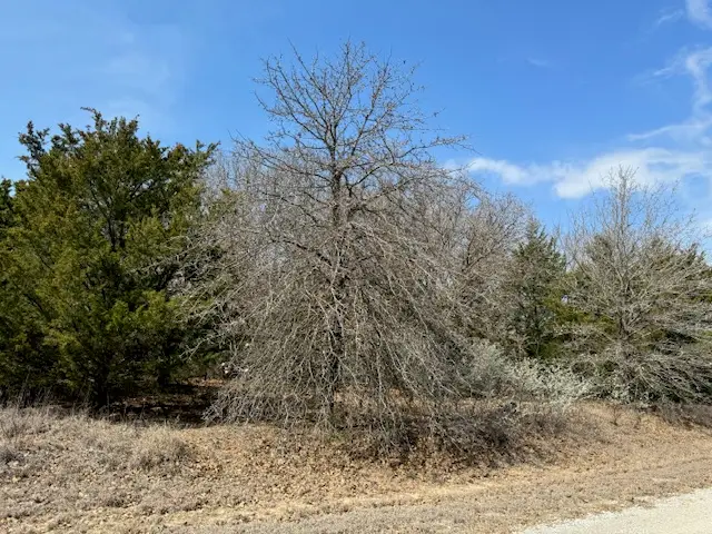 Tuscon Street, Burneyville, OK 73430 - #2