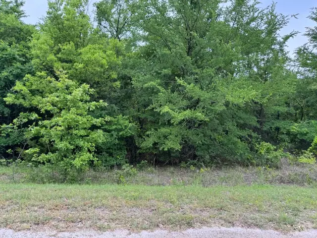 0 Chisholm, Burneyville, OK 73430 - #3