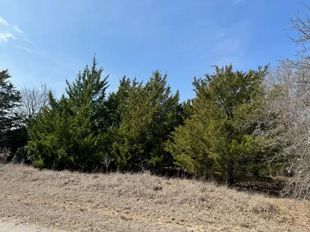 Bonnell Road, Burneyville, OK 73430 - #1