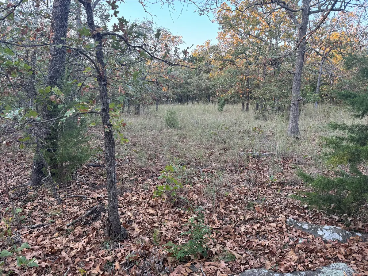 0000 Rodeo Drive, Skiatook, OK 74070 - #1