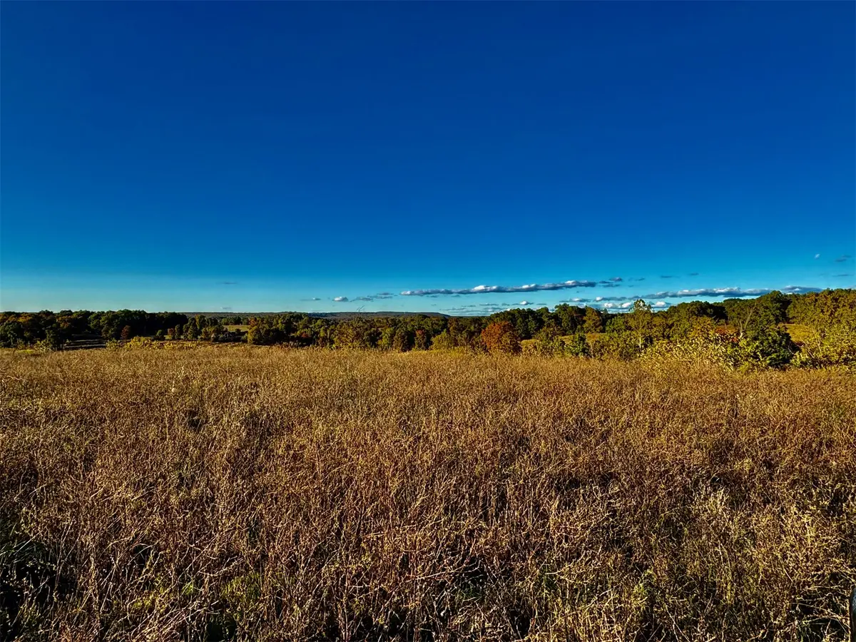Welling Road, Welling, OK 74471 - #1