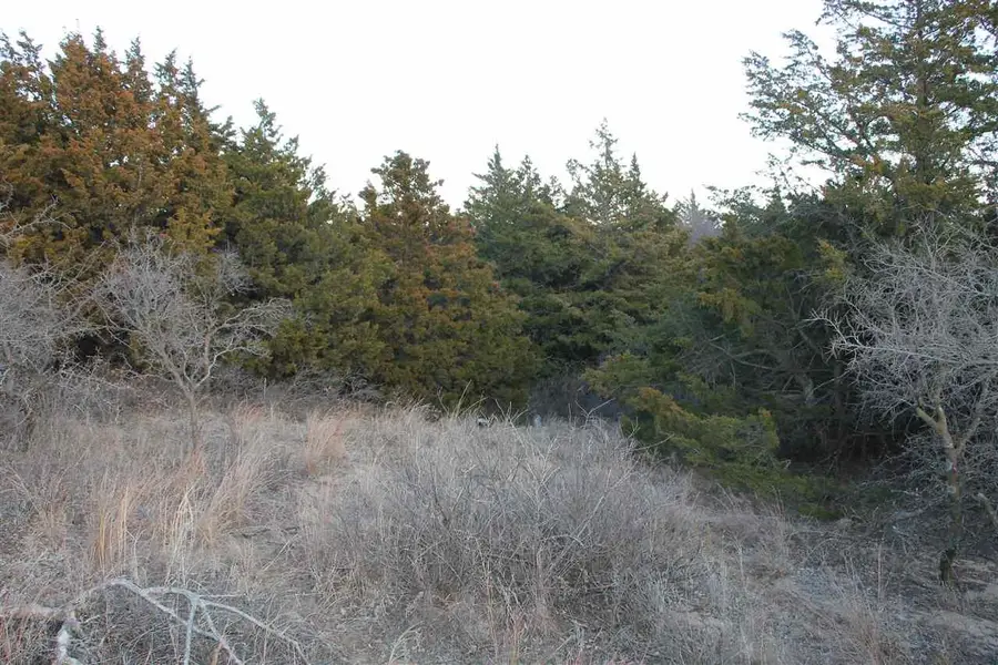 5524 State Highway 34C Lot 36, Woodward, OK 73801 - Image #2