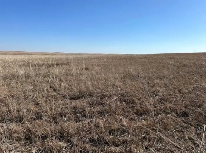 E CR 37 & S CR 169, Northwest Ellis, OK 73843-0000 - Image #2