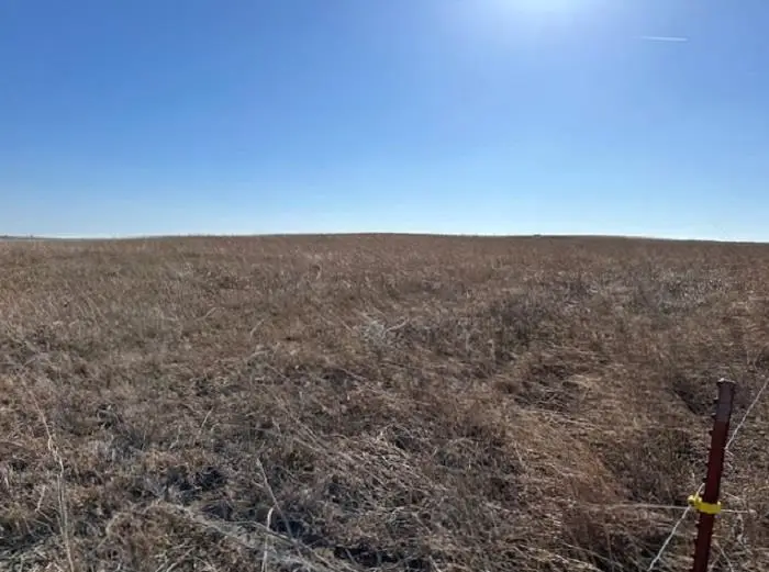 E CR 37 & S CR 169, Northwest Ellis, OK 73843-0000 - Image #3