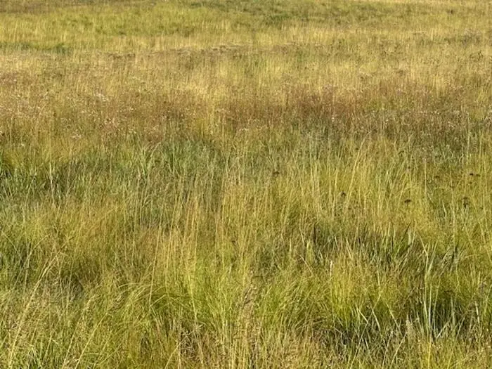 E County Road 37, Mooreland, OK 73852 - Image #1