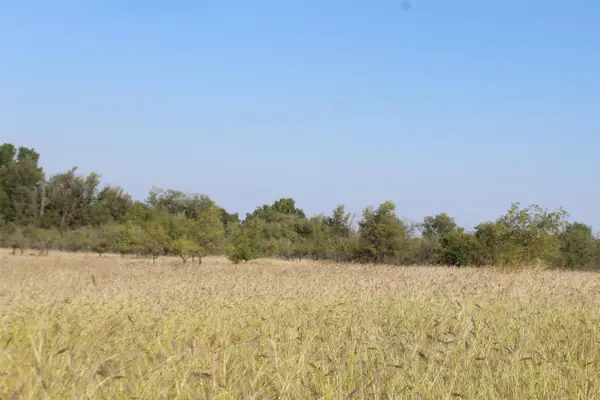 HWY 15, Woodward, OK 73801