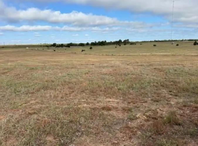 County Road 202 & 43, Woodward, OK 73801-0000 - Image #2