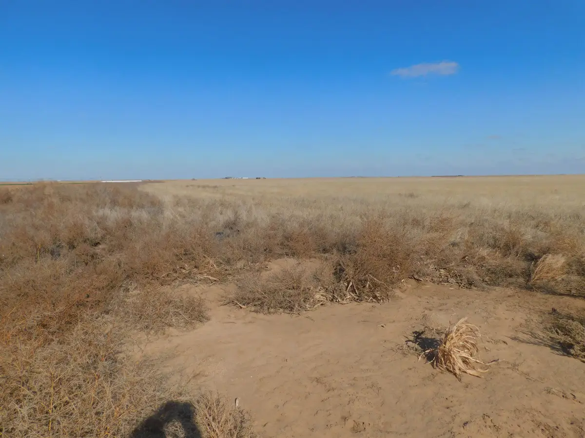 SW 1/4 13-6N-13 SW Texas County, Guymon, OK 73942 - Image #1