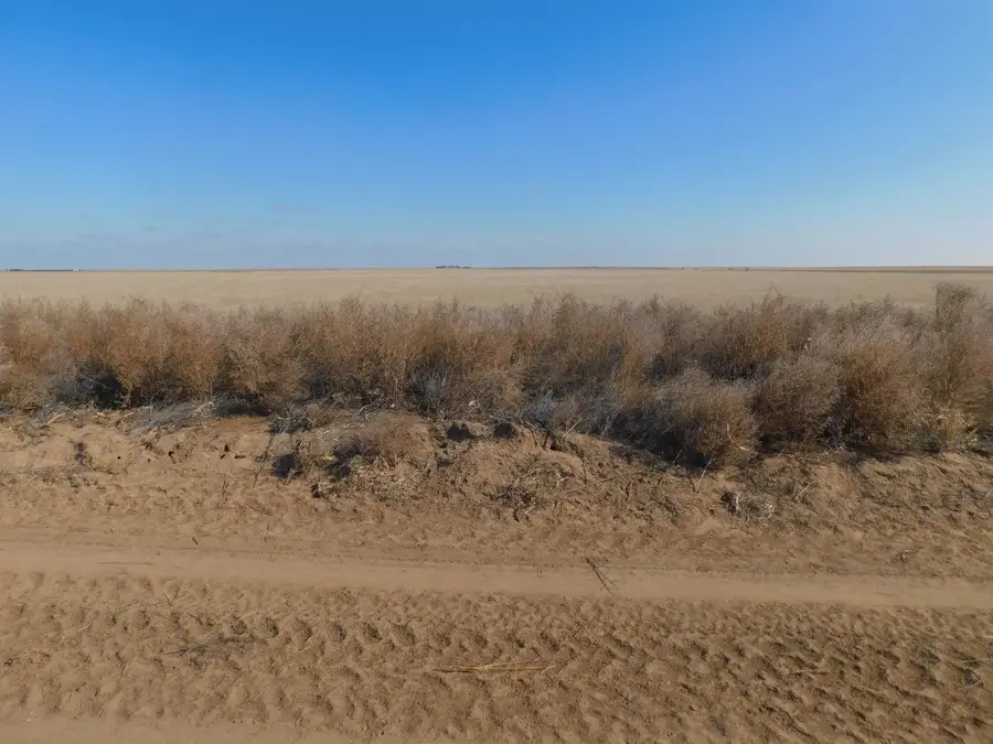 SW 1/4 13-6N-13 SW Texas County, Guymon, OK 73942 - Image #3