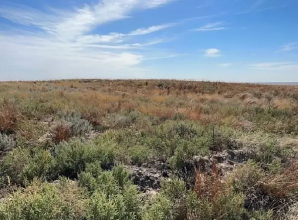 Highway 64 & CR 44, Gage, OK 73843-0000