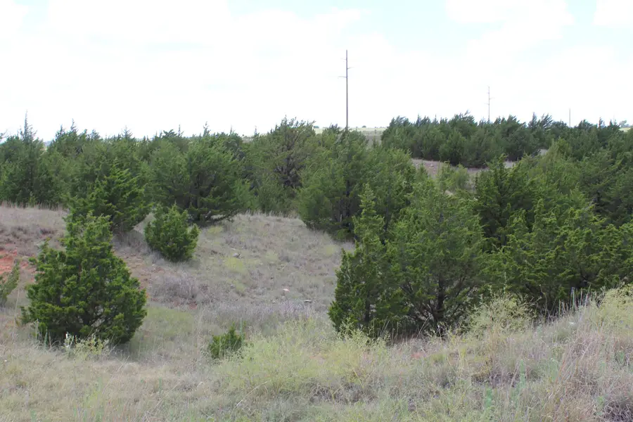 E County Rd 41, Woodward, OK 73801-0000 - #2