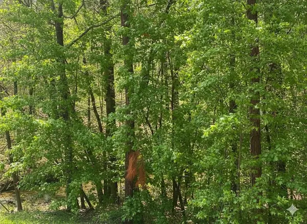 162 Top Notch Lane, Broken Bow, OK 74728