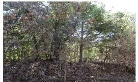 11916 SE 109th Street, Oklahoma City, OK 73165 - Image #1