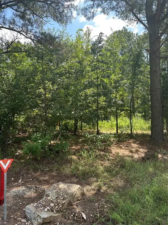 838 Pine Hills Road, Broken Bow, OK 74728 - Image #2