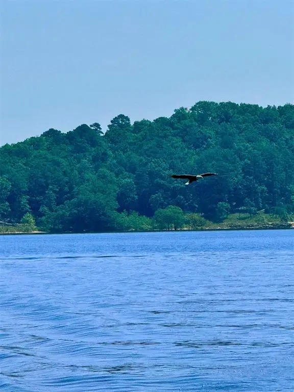 214 Top Notch Lane, Broken Bow, OK 74728 - Image #3