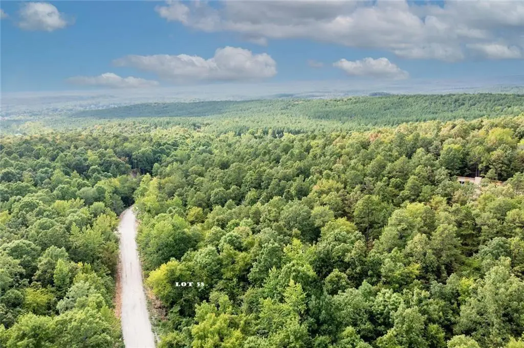 369 Frances Fir Road, Broken Bow, OK 74728 - Image #1