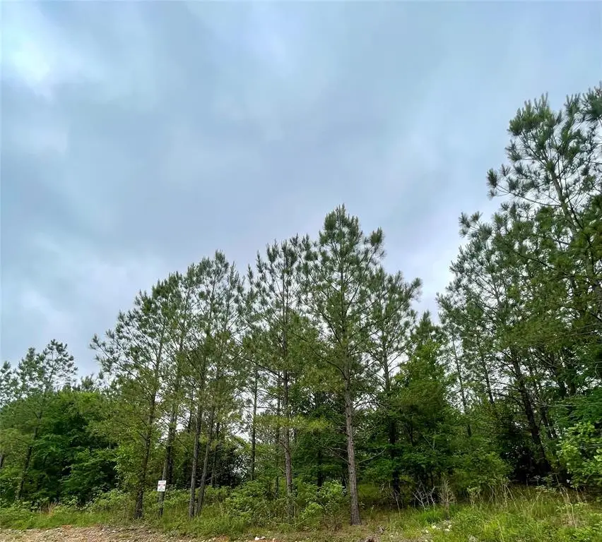 670 Timber Creek Trails South Xi, Broken Bow, OK 74728 - Image #1