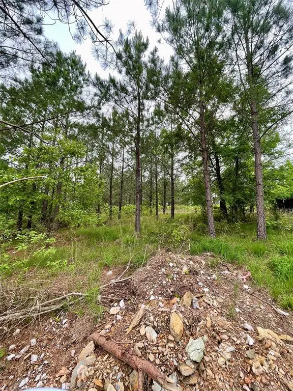 670 Timber Creek Trails South Xi, Broken Bow, OK 74728 - Image #3