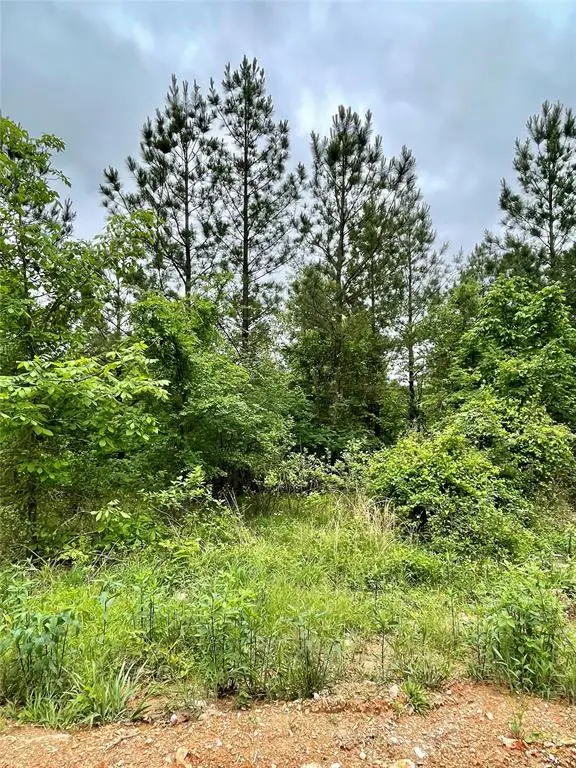 658 Timber Creek Trails South Xi, Broken Bow, OK 74728 - Image #2