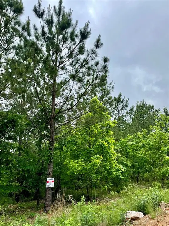 658 Timber Creek Trails South Xi, Broken Bow, OK 74728 - Image #3