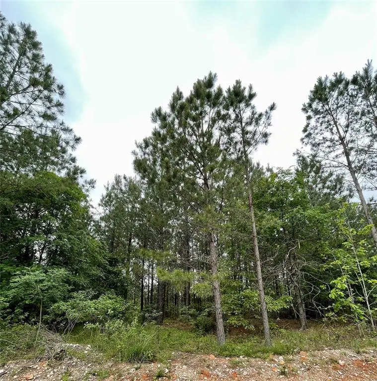671 Timber Creek Trails South Xi, Broken Bow, OK 74728 - Image #1