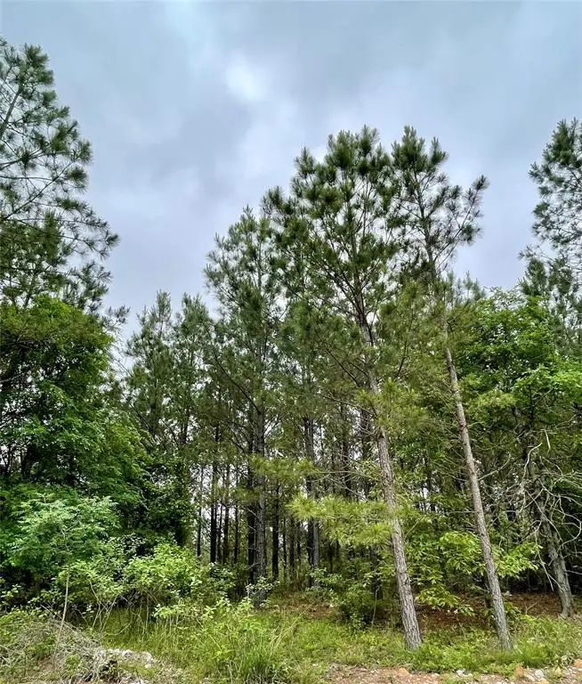 671 Timber Creek Trails South Xi, Broken Bow, OK 74728 - Image #2