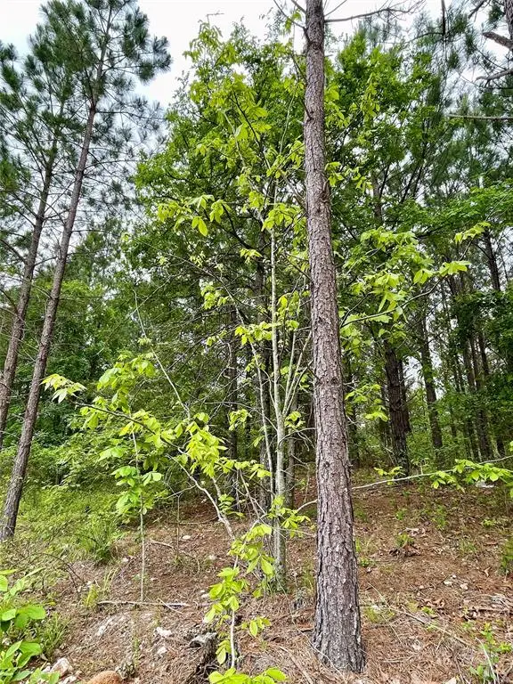 671 Timber Creek Trails South Xi, Broken Bow, OK 74728 - Image #3