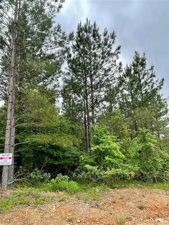 657 Timber Creek Trails South Xi, Broken Bow, OK 74728 - Image #2