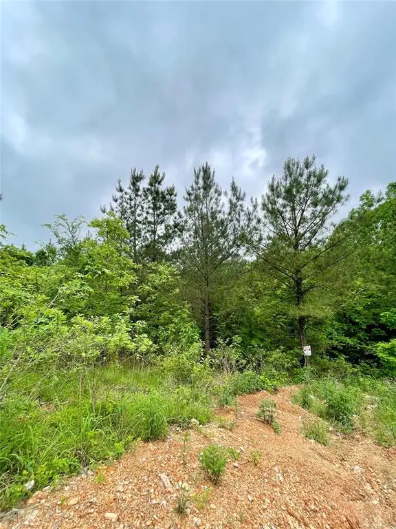656 Timber Creek Trails South Xi, Broken Bow, OK 74728 - Image #2