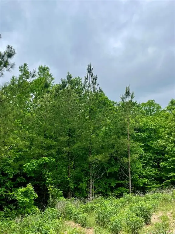 656 Timber Creek Trails South Xi, Broken Bow, OK 74728 - Image #3