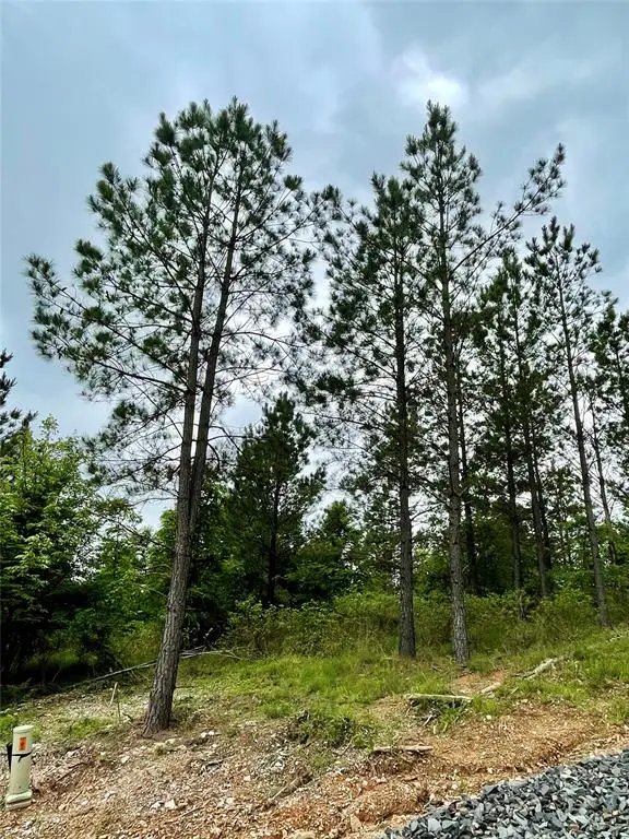 661 Timber Creek Trails South Xi, Broken Bow, OK 74728 - Image #3