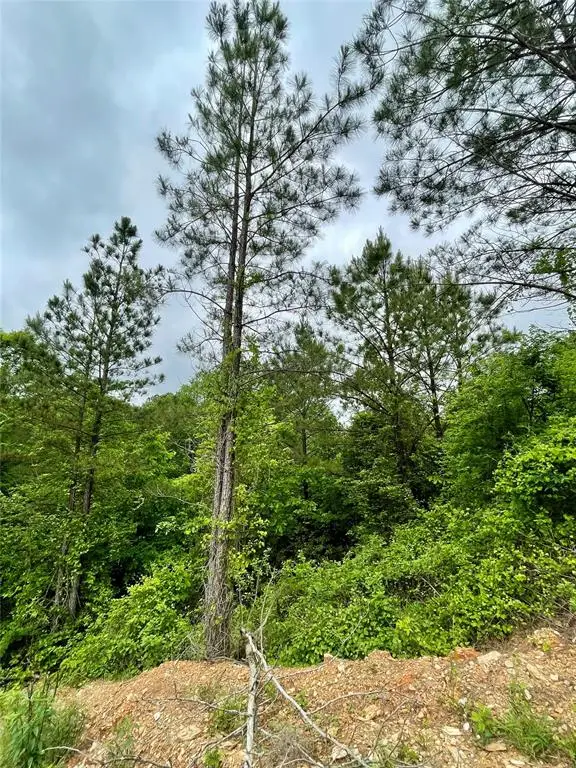 673 Timber Creek Trails South Xi, Broken Bow, OK 74728 - Image #3