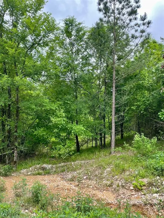 662 Timber Creek Trails South Xi, Broken Bow, OK 74728 - Image #3